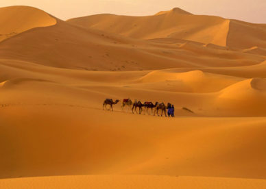 صور الصحراء الكبرى العجيبة شمال أفريقياء Sahara African Images - عالم الصور